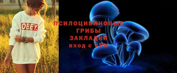 PSILOCYBIN Арсеньев