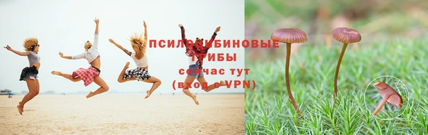 MESCALINE Аркадак