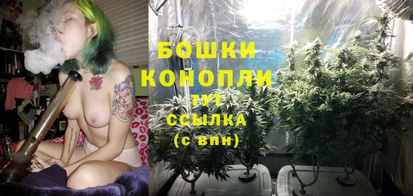 MESCALINE Аркадак