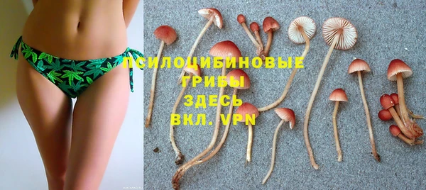 MESCALINE Аркадак