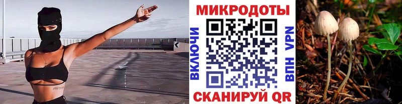 Псилоцибиновые грибы MAGIC MUSHROOMS закладка Родники